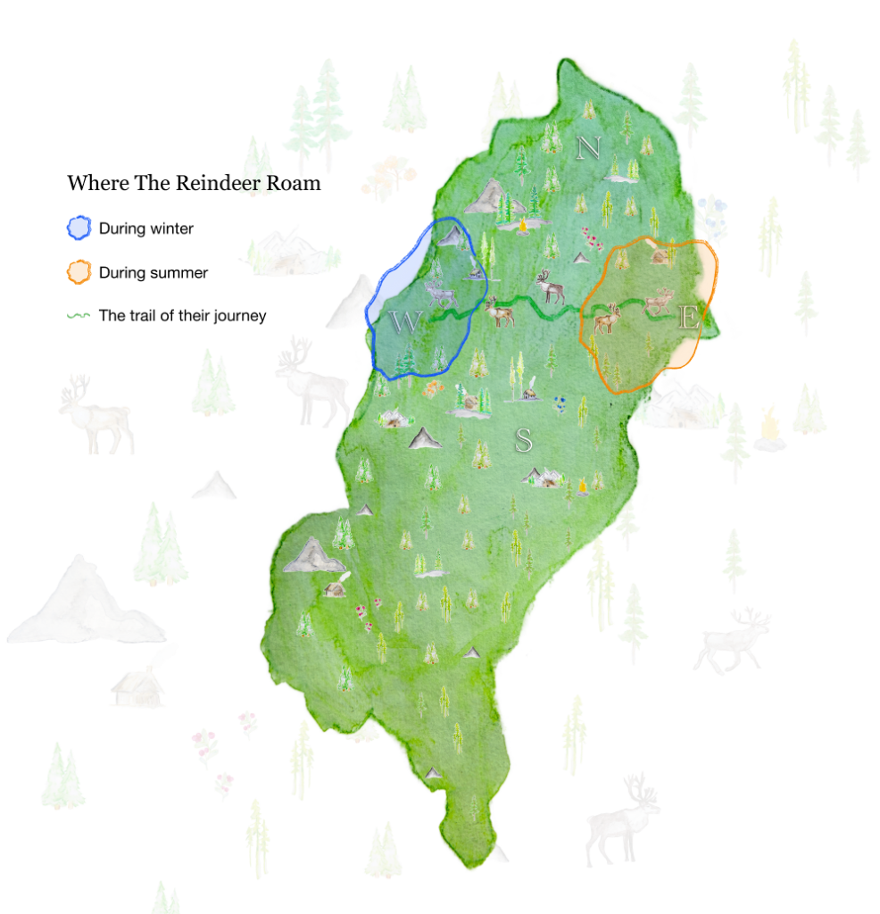 Map of where the reindeers roam during Winter and Summer and the trail between the two locations.